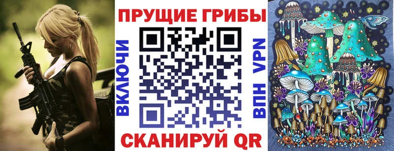 кракен ONION  Алейск  Галлюциногенные грибы Psilocybine cubensis 