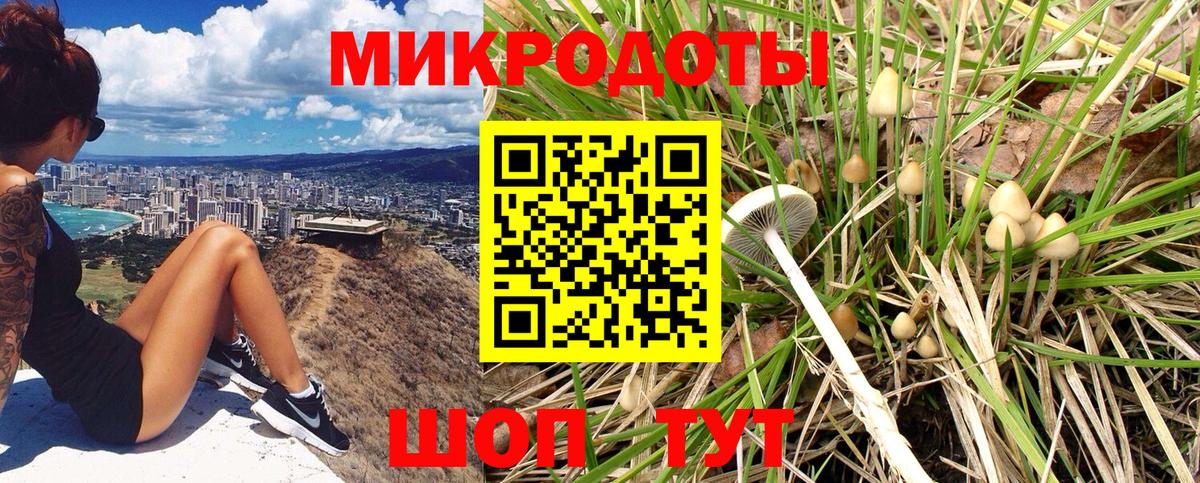 Псилоцибиновые грибы прущие грибы  Вход с VPN  Алейск 